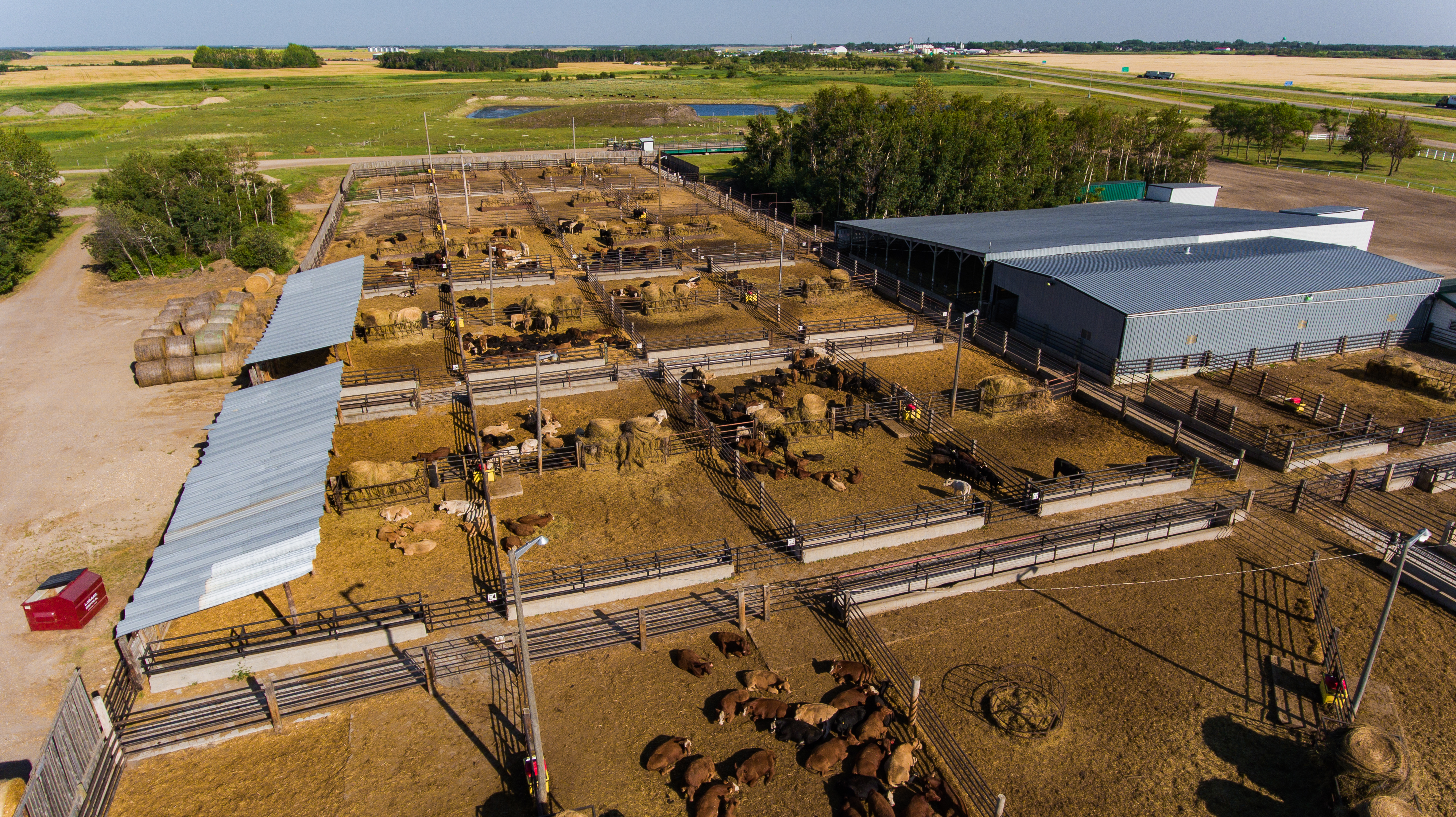 Prairie Livestock yard from above